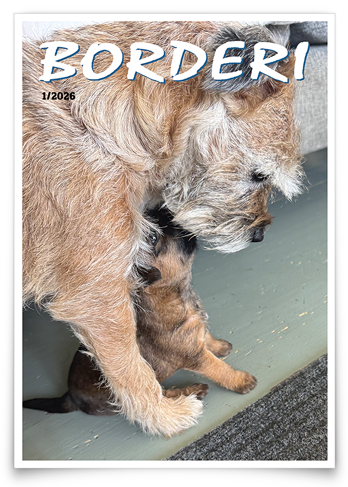 Borderi_kannet_sivulle_201